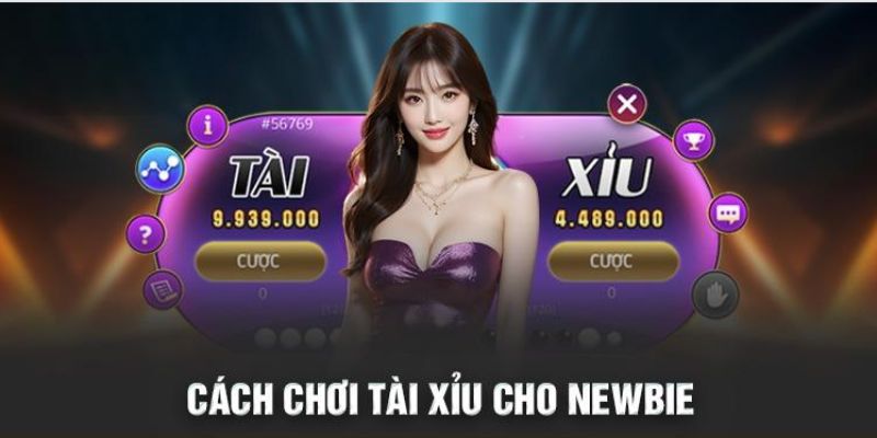 cách chơi tài xỉu 23win