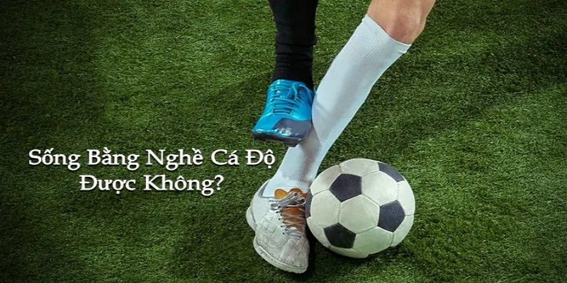 cách sống bằng nghề cá độ